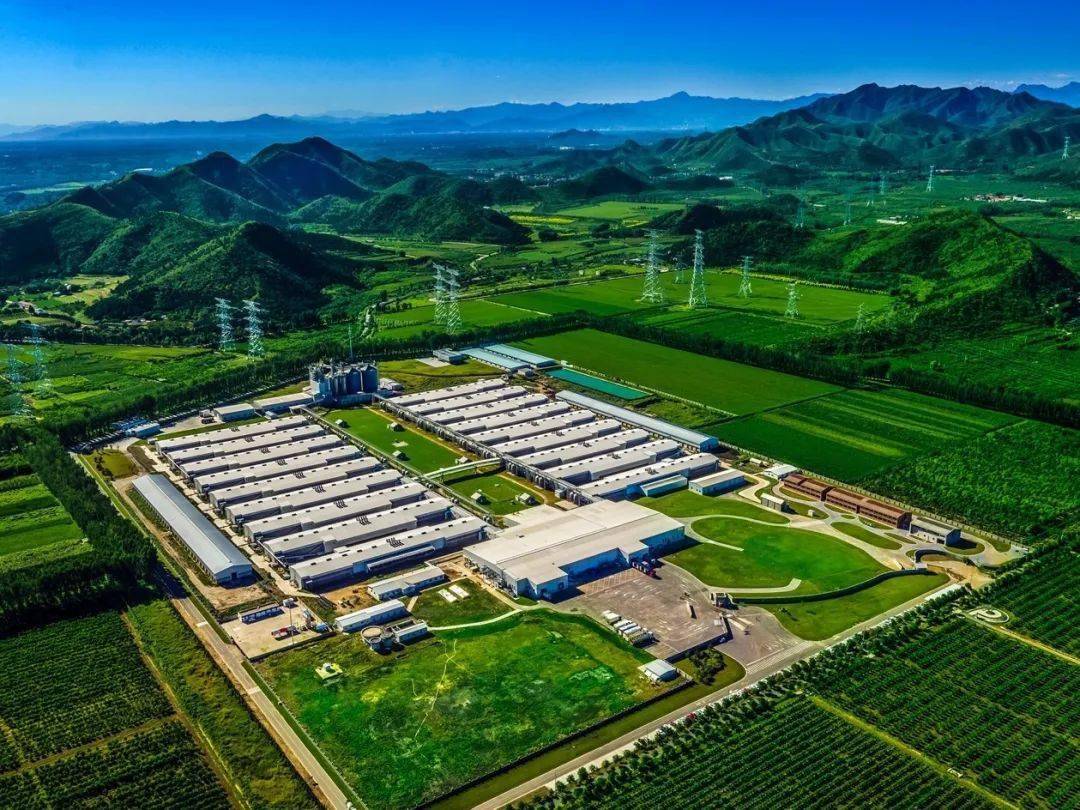 今天,小正哥就带你去其中一家位于北京平谷的养殖场瞧瞧,刷新你的认知