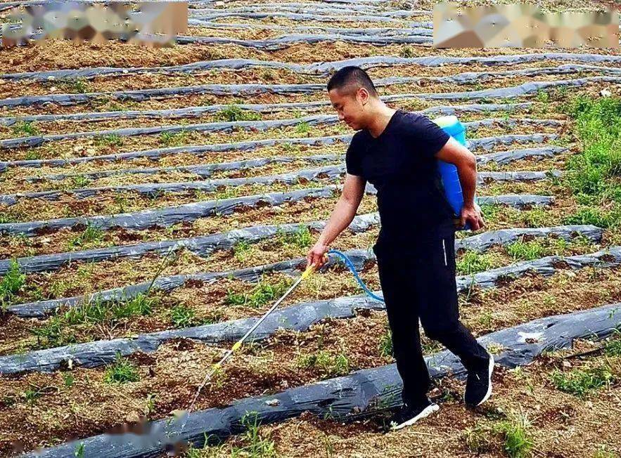 我的扶贫故事魏道斌真督真战助脱贫真帮真扶暖民心