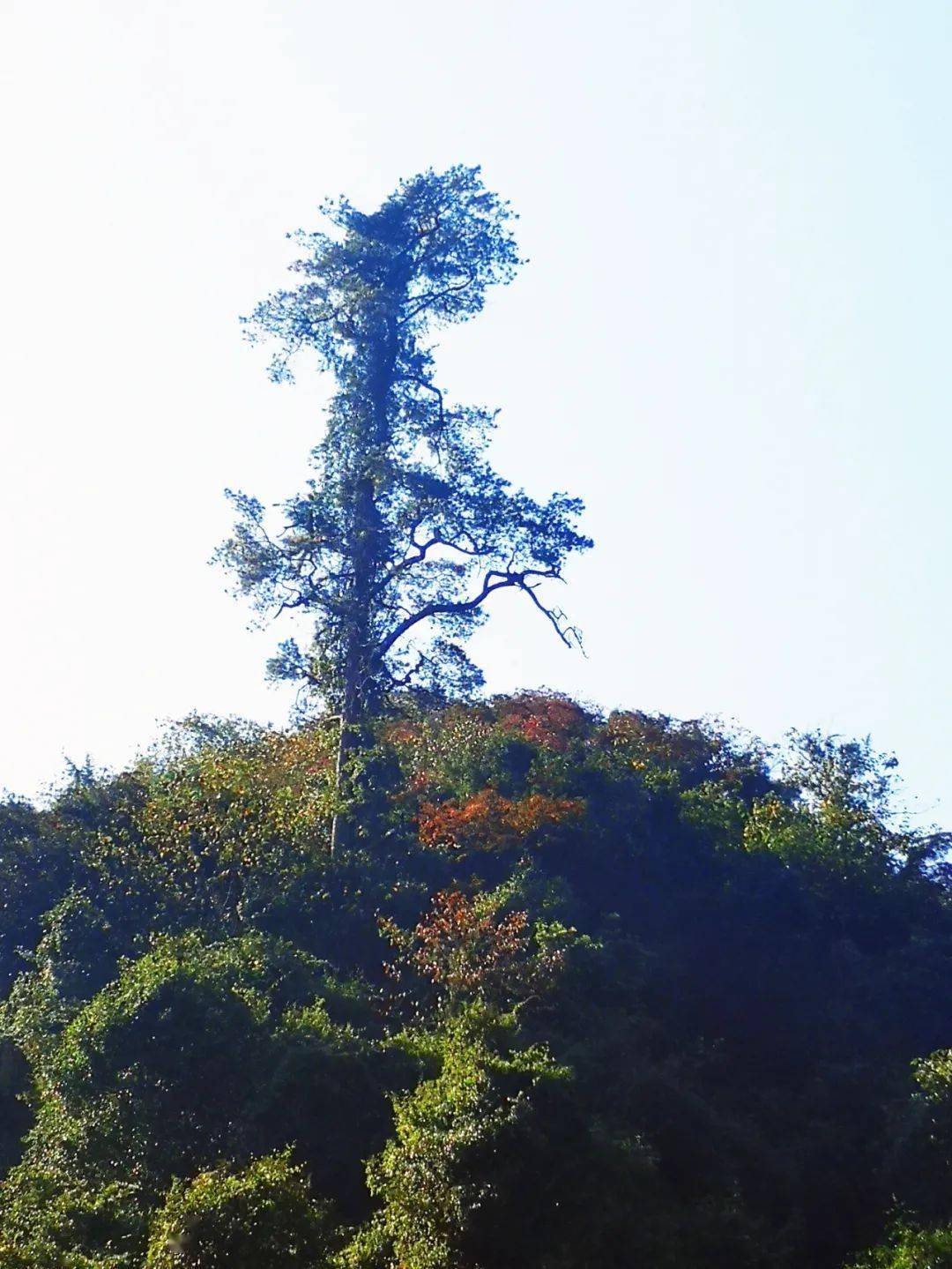 始兴北山景点图片