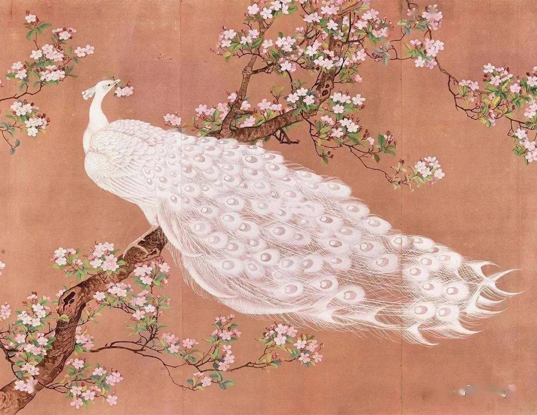 田世光 笔下的孔雀,漂亮至极,殊为难得