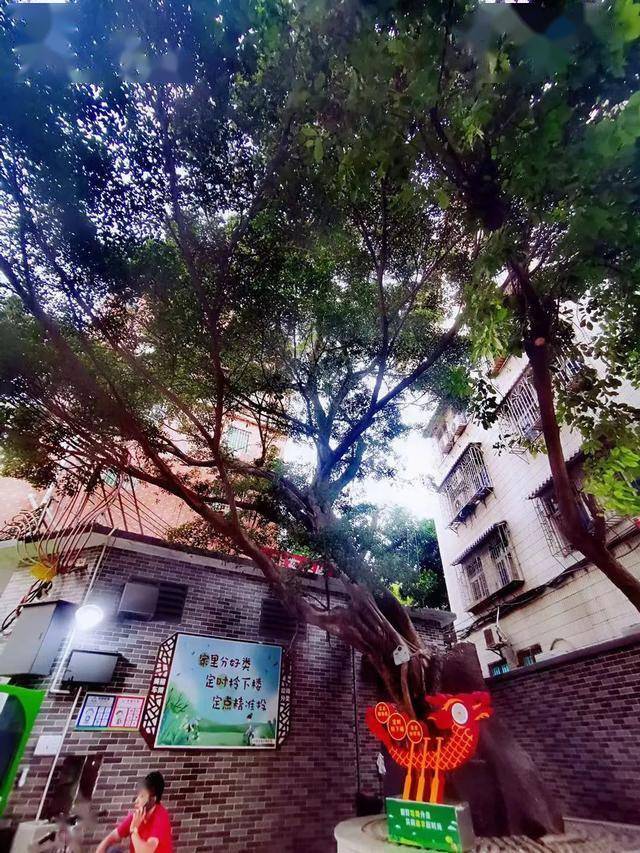 天河车陂街巷志丨车陂祠前大街百米小街百年风韵