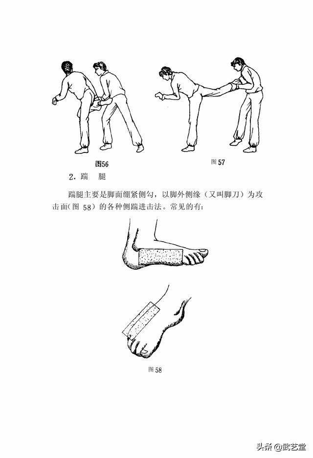 (图48)由立正姿势身体左转,右脚向左侧上一步,脚尖外摆,双(2)侧蹬腿图