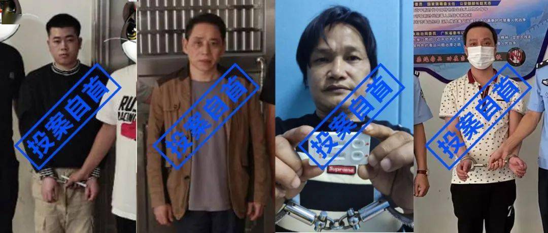 葵潭镇这些涉毒在逃人员已相继到案
