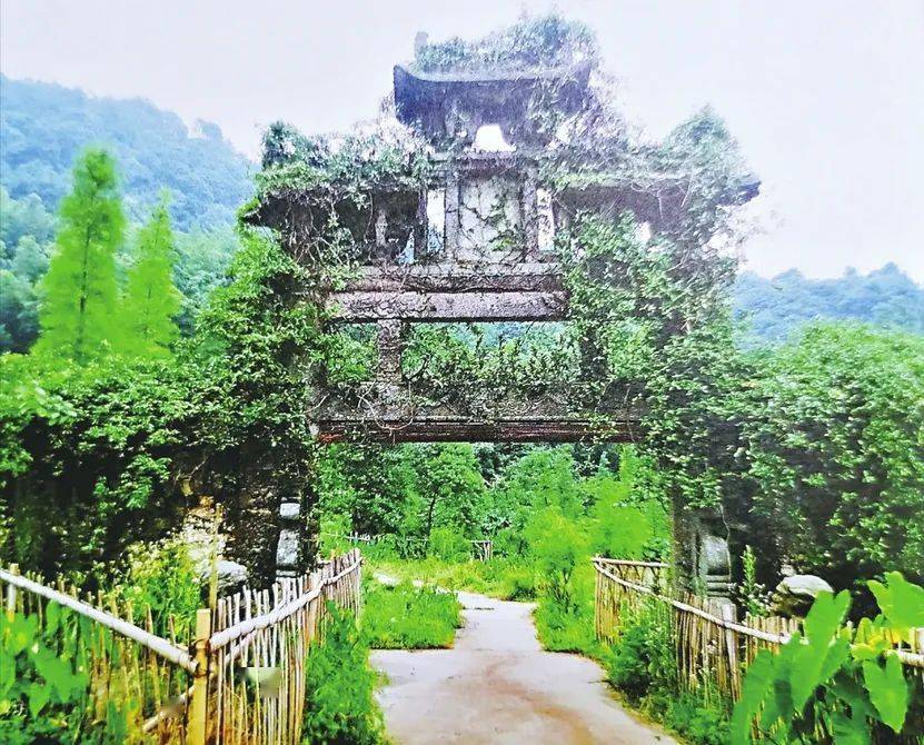 品读华林书院仁义孝道兼容并包