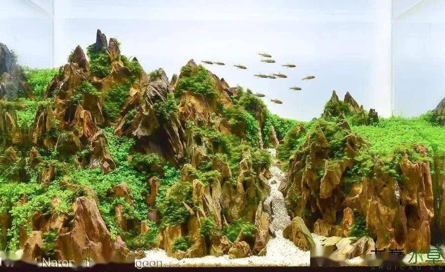 56个经典松皮石造景模板