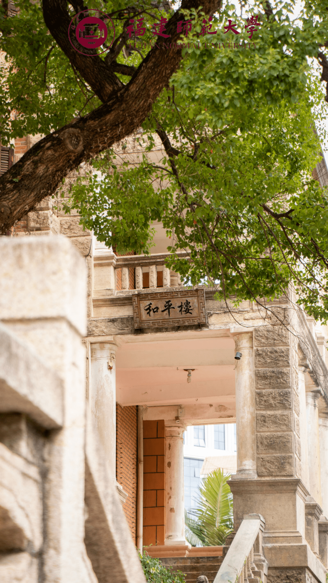 113周年校庆一起换上师大专属壁纸吧