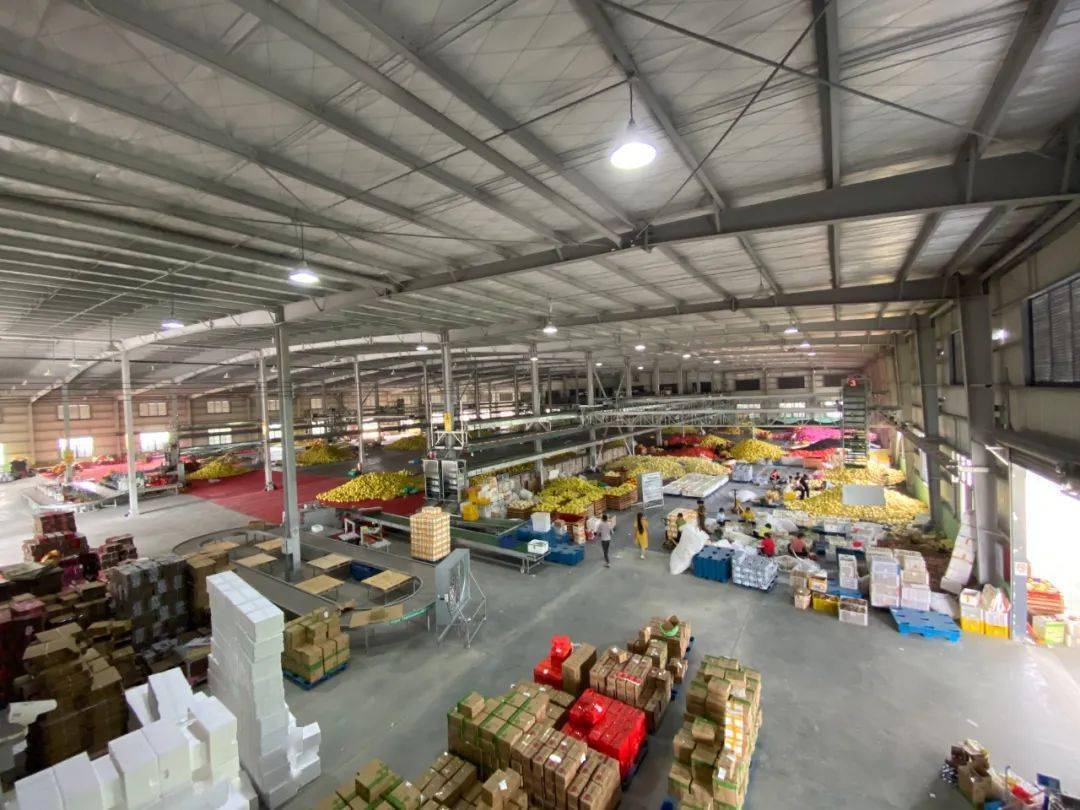 "解毒"水果供应链