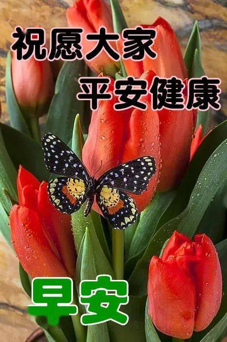 可爱的早上好带字表情包暖暖的祝福愿各位亲友们一切安好