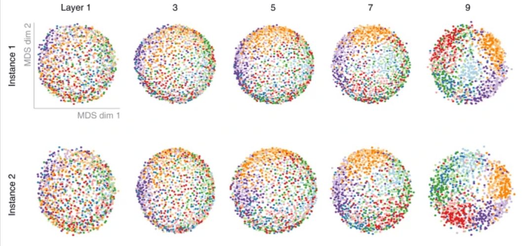 每一个点代表一个神经网络,不同的颜色对应不同的判别功能,从左到