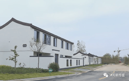 沭阳耿圩镇淮西村软萌多肉开出致富花