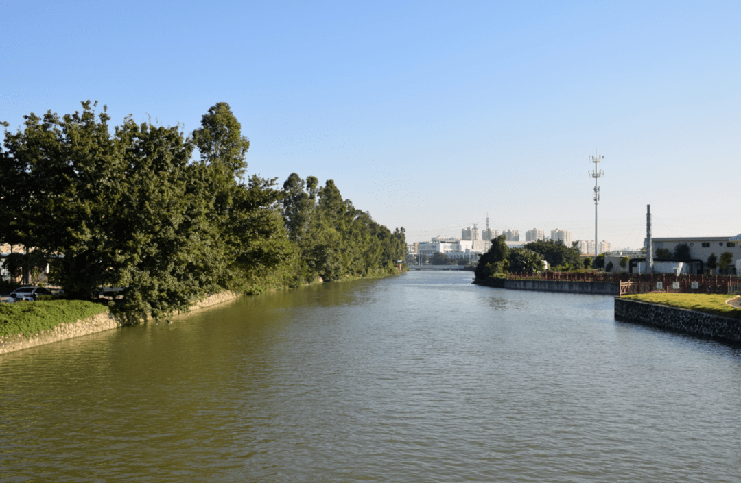 "经过整治不黑不臭后,"这种现象自从会城河工作人员李先生说新会区