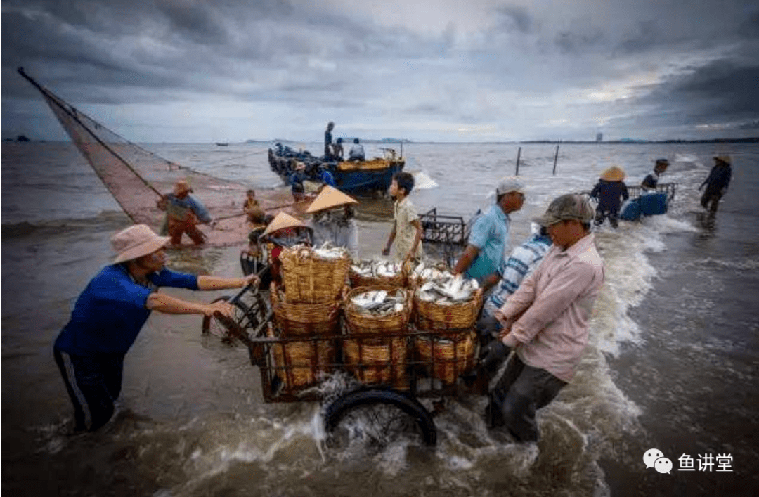 水产人为什么一定有不可限量的未来