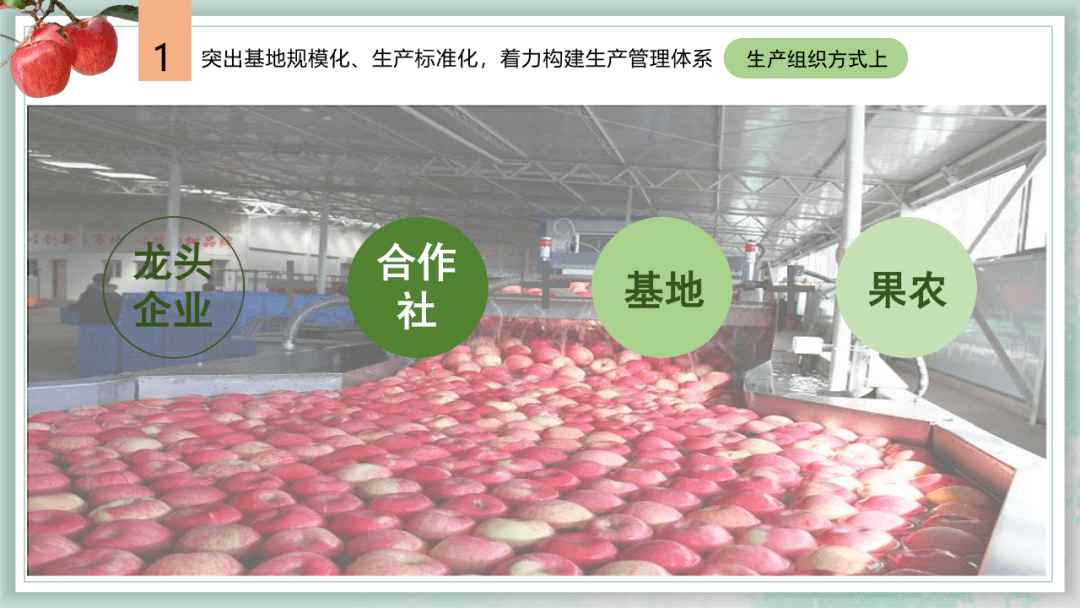 丨2020年度中国苹果产业品牌大会——平凉苹果产业发展介绍_李一宁