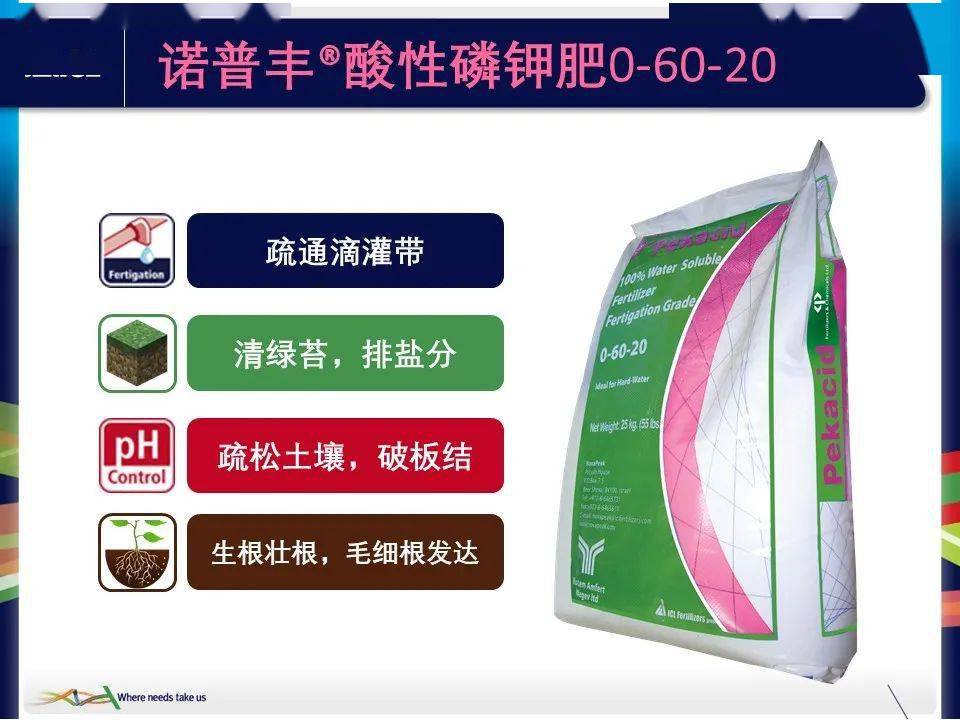 诺普丰酸性磷钾肥——让麻山药变粗长君