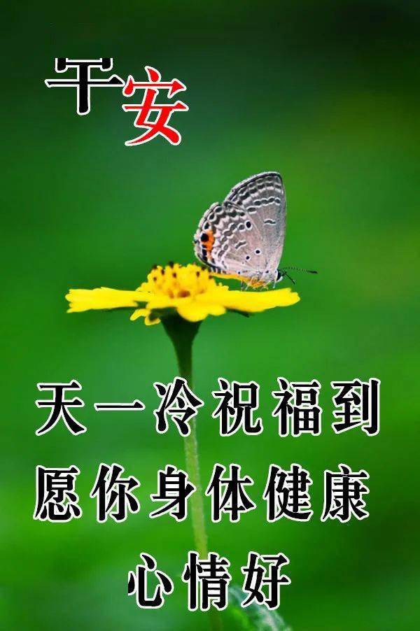 11月19日最漂亮动态表情图片大全
