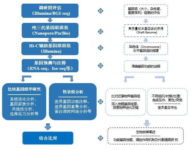 基因组学深入挖掘研究方案上篇