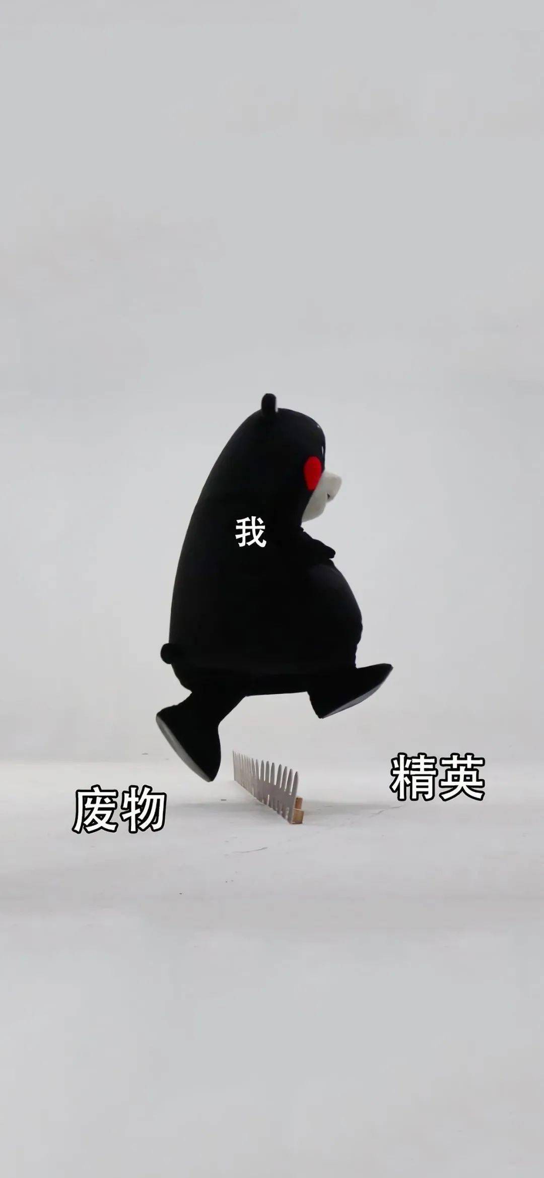 全面屏壁纸用了就不想换的壁纸