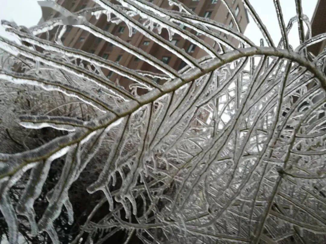 专家解读 冷暖大战带来雨雪切换"更坏的天气"_冻雨