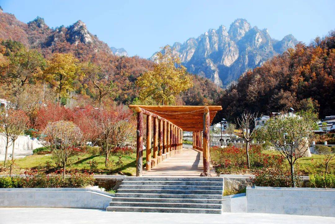 河南西峡有个东坪村好风景里好日子