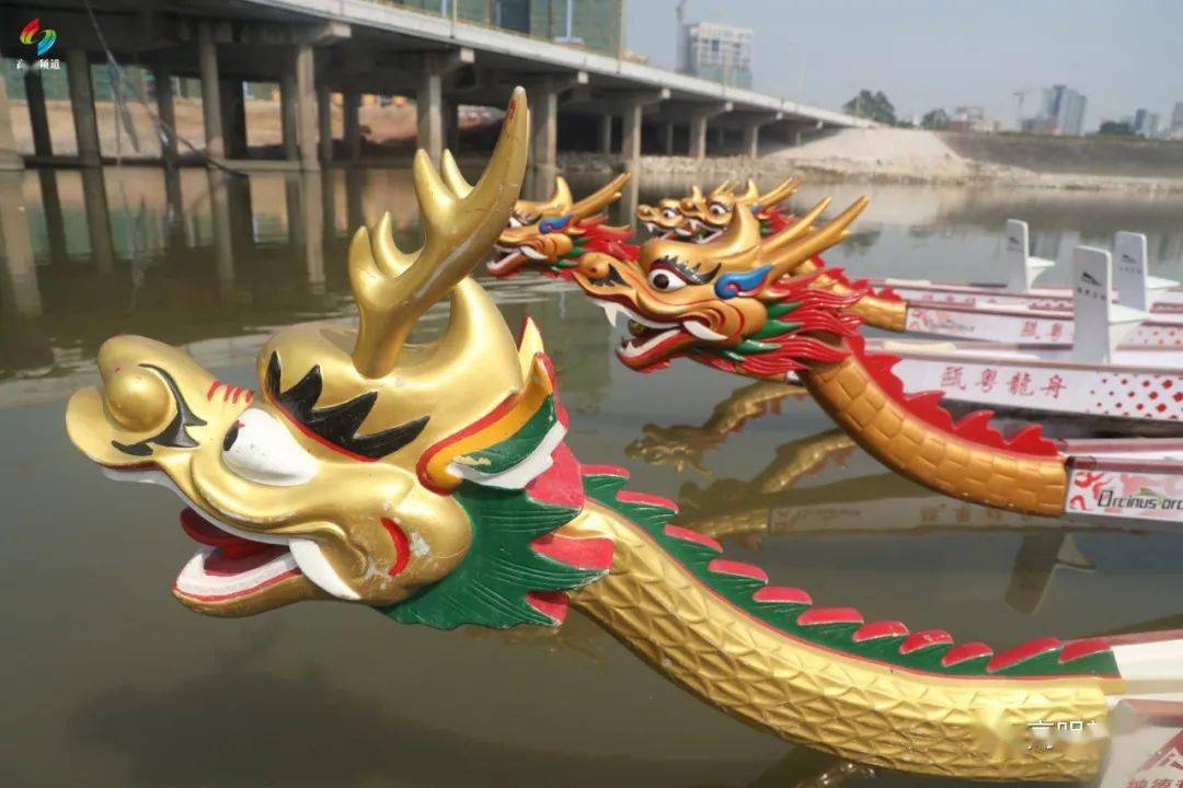 这条"龙"不仅"耀"了沧江,也"亮"了高明!_龙船