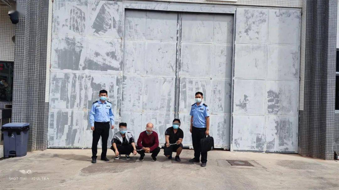 陆某杰,杨某德,刘某龙等三名犯罪嫌疑人被送往看守所执行刑事拘留冼某