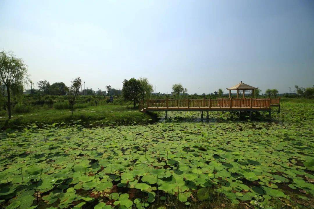 西姜寨村图片