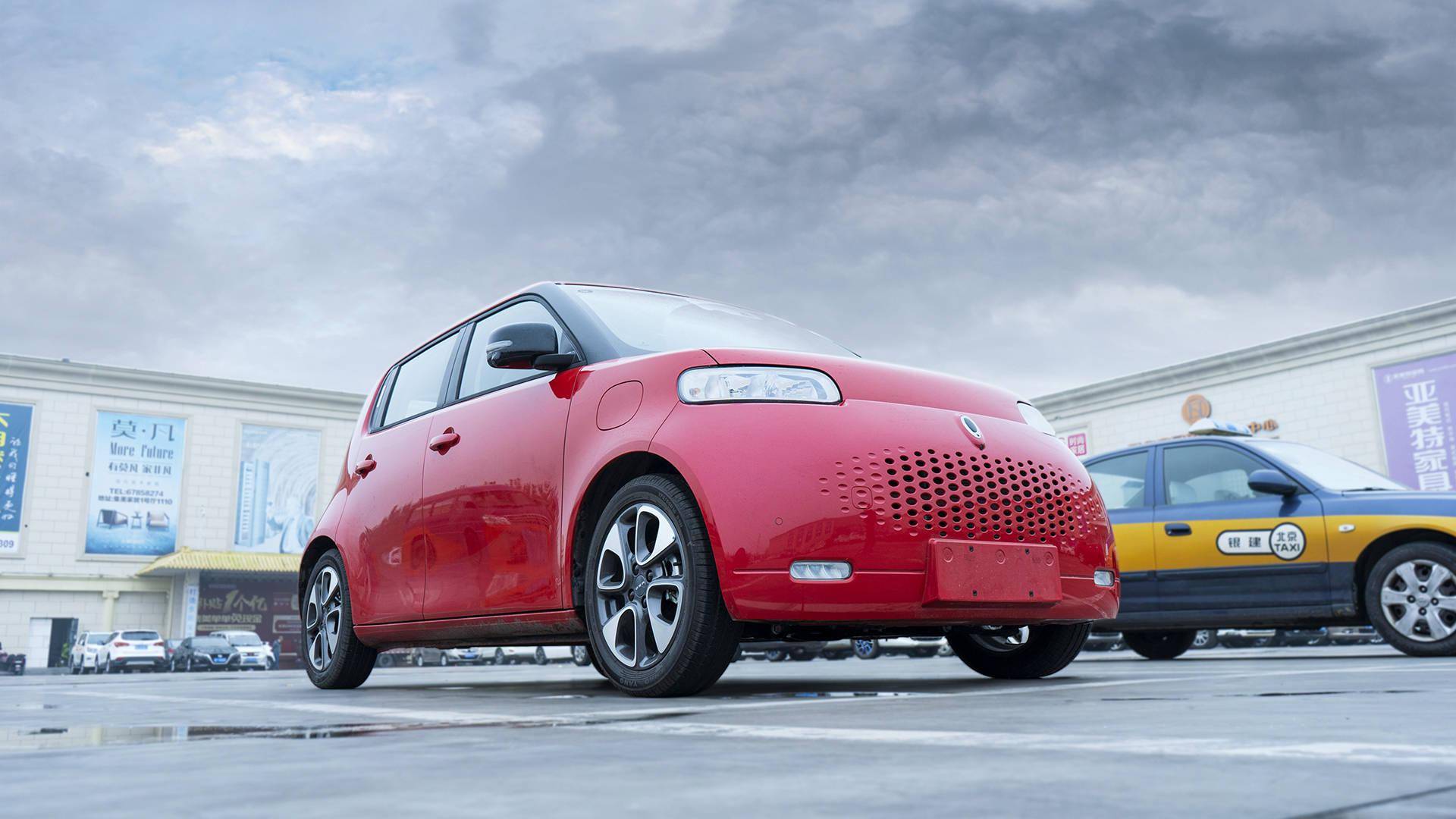 萌萌可爱省心选 长城欧拉白猫图赏