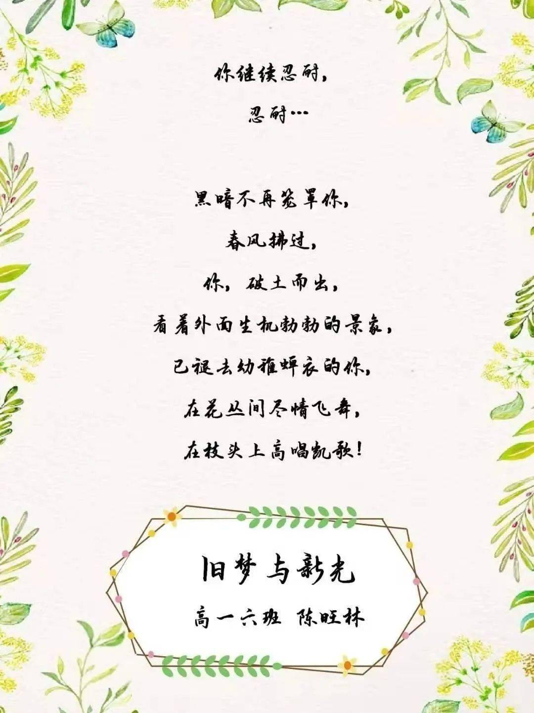 校园动态追光逐梦不负少年东北中山中学举办高一年级新诗写作大赛