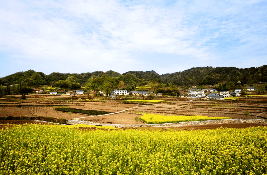下堡坪乡绿水青山引来金凤栖