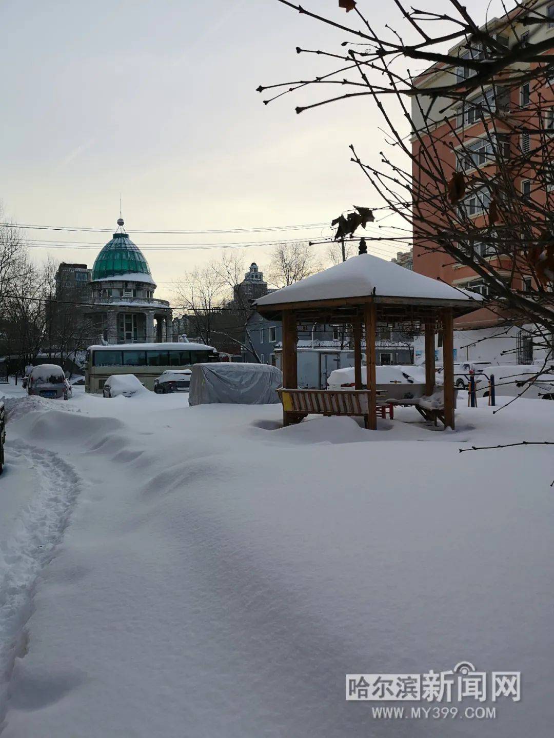 特大暴风雪总结报告20年未见此狂风暴雪哪里下的最多