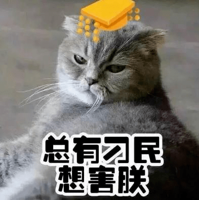 猫:总有刁民想害朕!