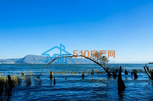 重磅霞客湖建设规划即将出炉江阴迎来自己的城市内湖这边的房价估计
