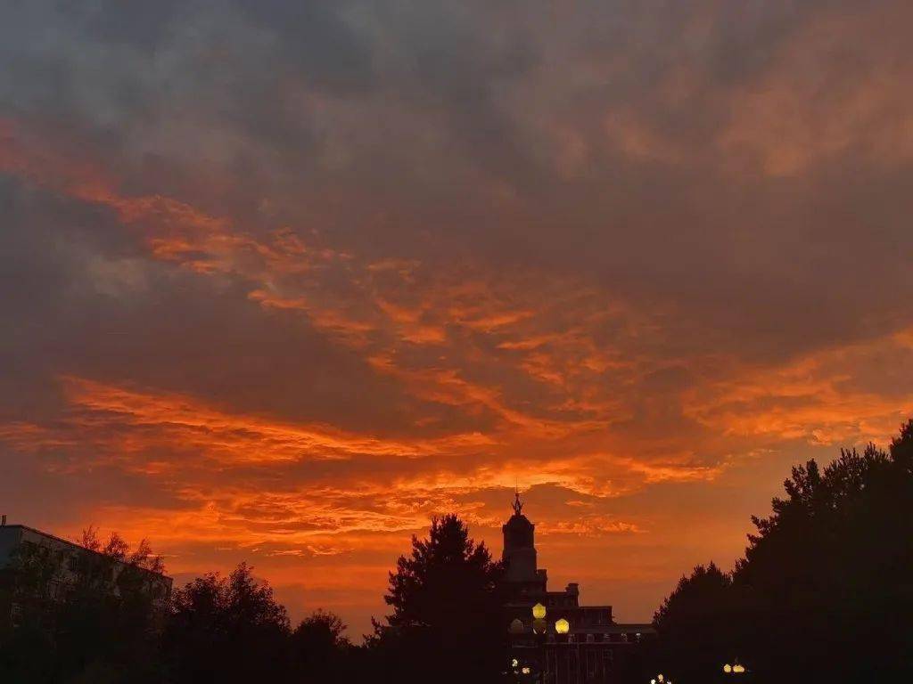 blackpink朋友圈背景图 | 11.20