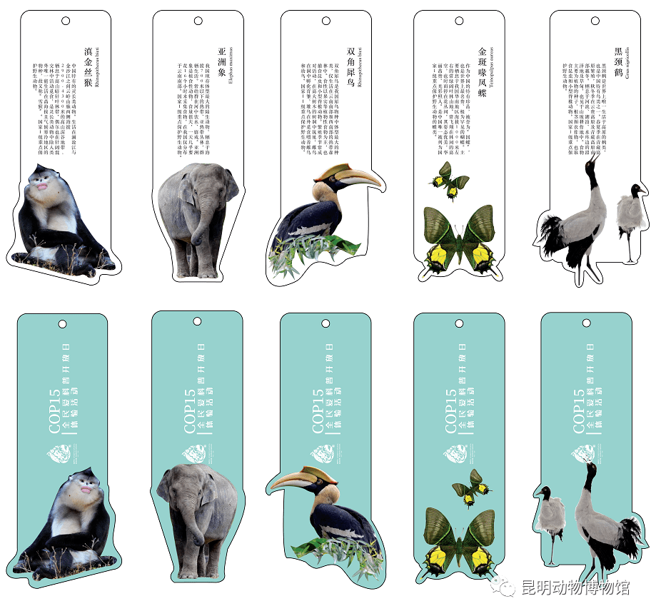 cop15主题图片