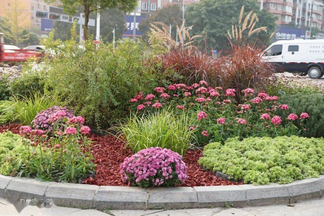 资阳这处花台没几天就被"顺手牵花"了!_景观