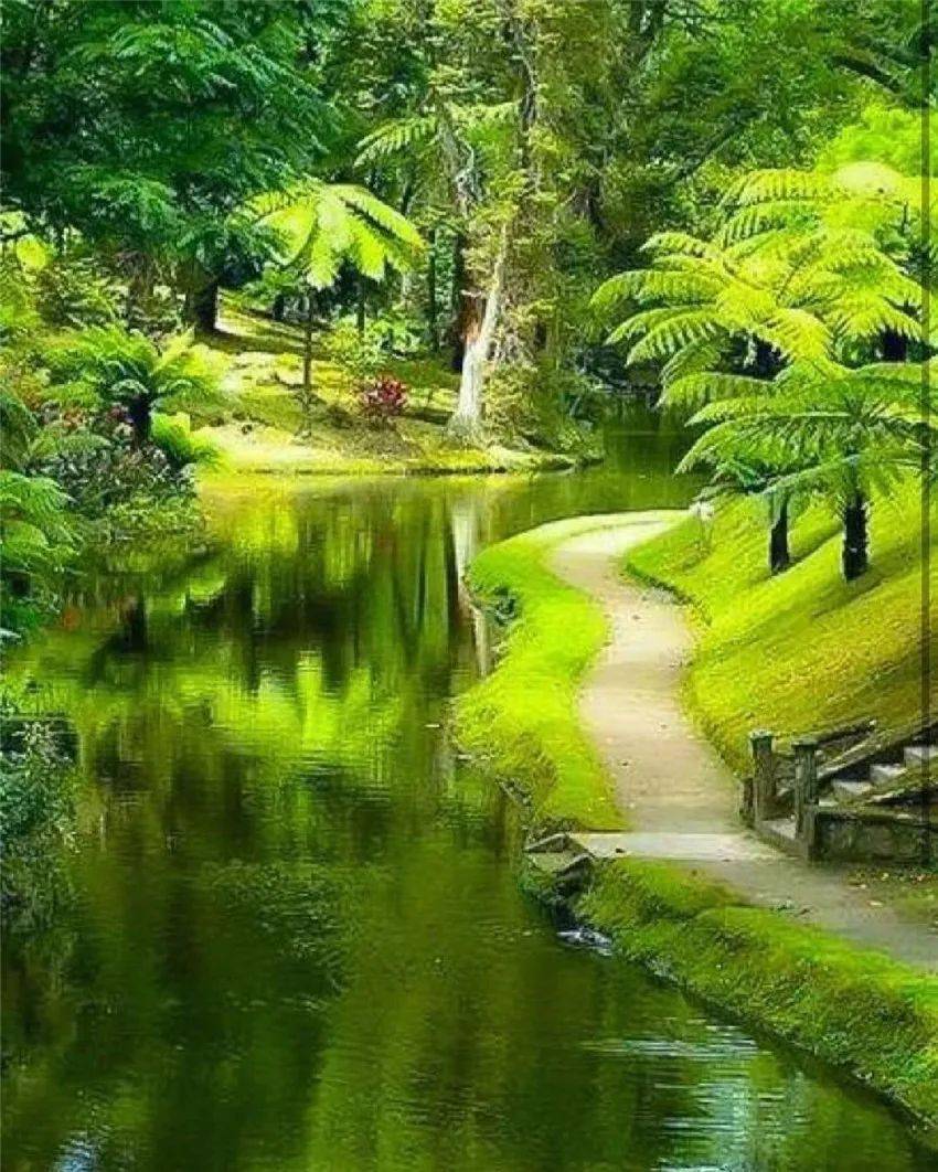 养眼风景图眼睛累了就看看