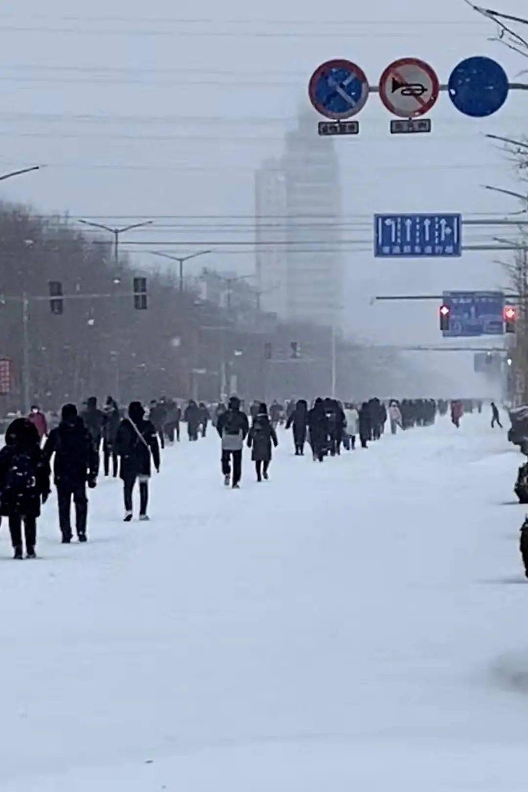 通辽这次的雪到底有多大多图视频