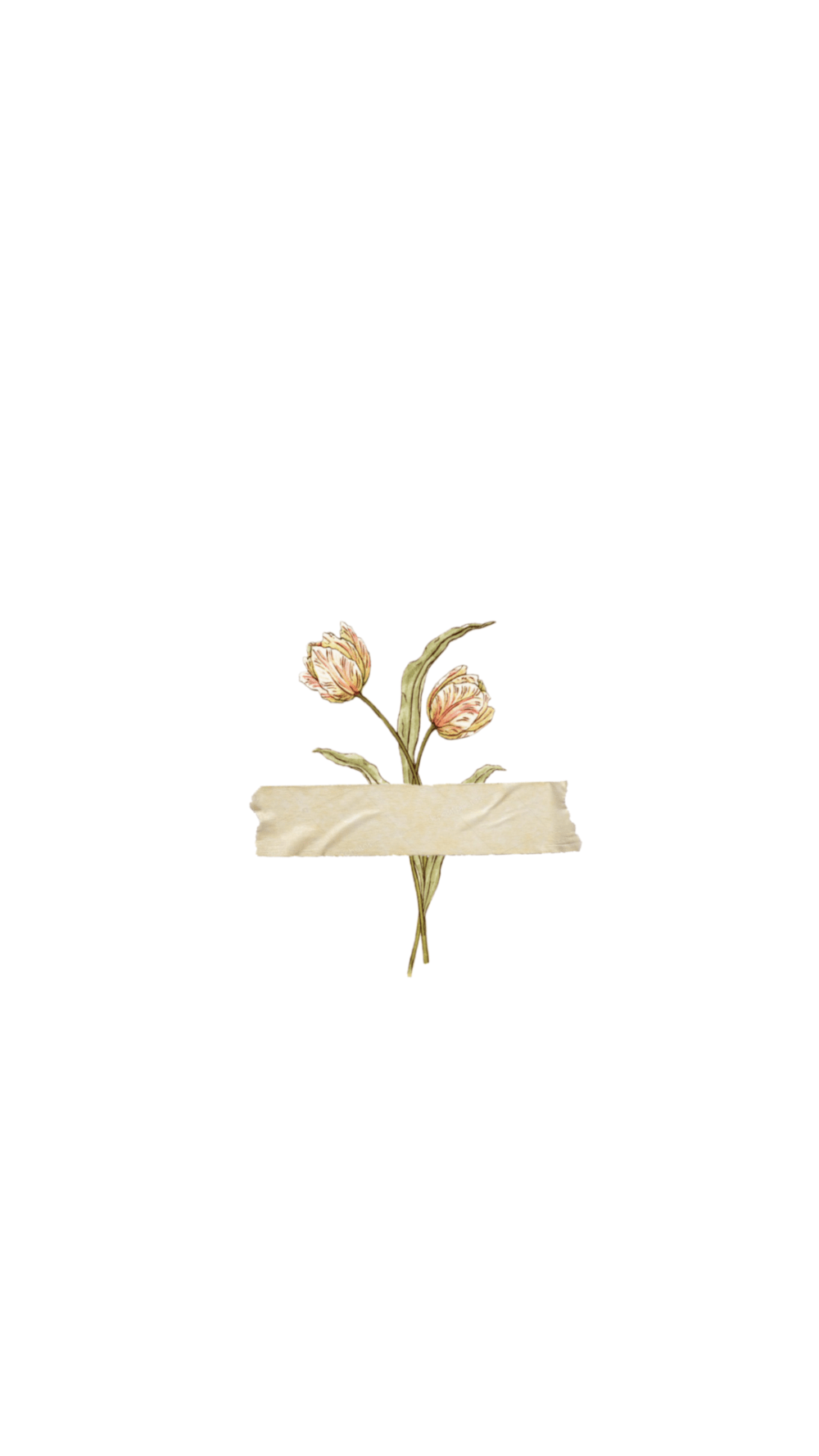 壁纸(图片选自:非主流编辑:小微)微民技巧:如何更换微信聊天背景?