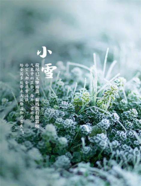 小雪到,冬季始_節氣