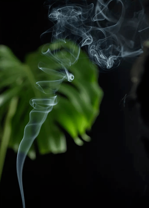 唯有耐得千事烦方能收得一心清