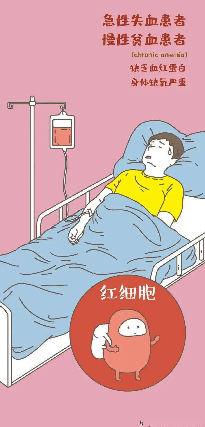 【血液科普】漫画--我们的血液!-搜狐大视野-搜狐新闻