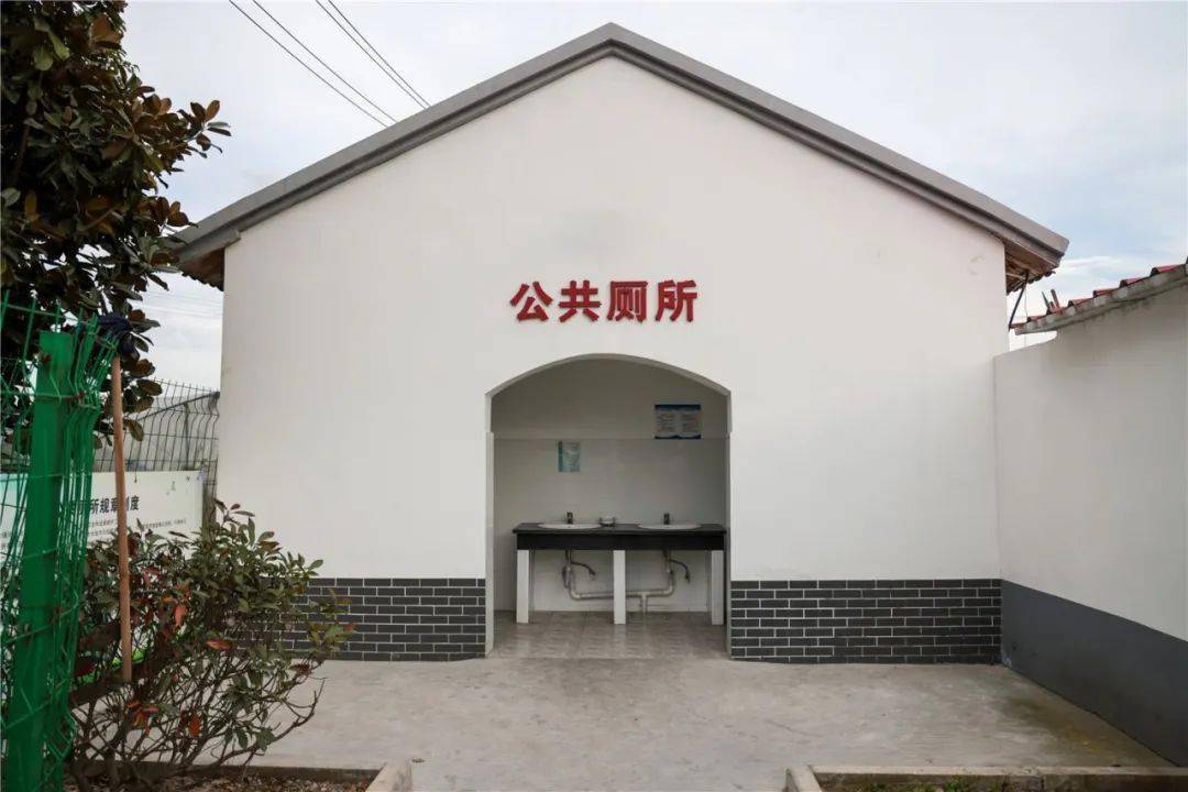 从"不待见"到被"点赞",一座农村公厕这样诞生-搜狐大视野-搜狐新闻