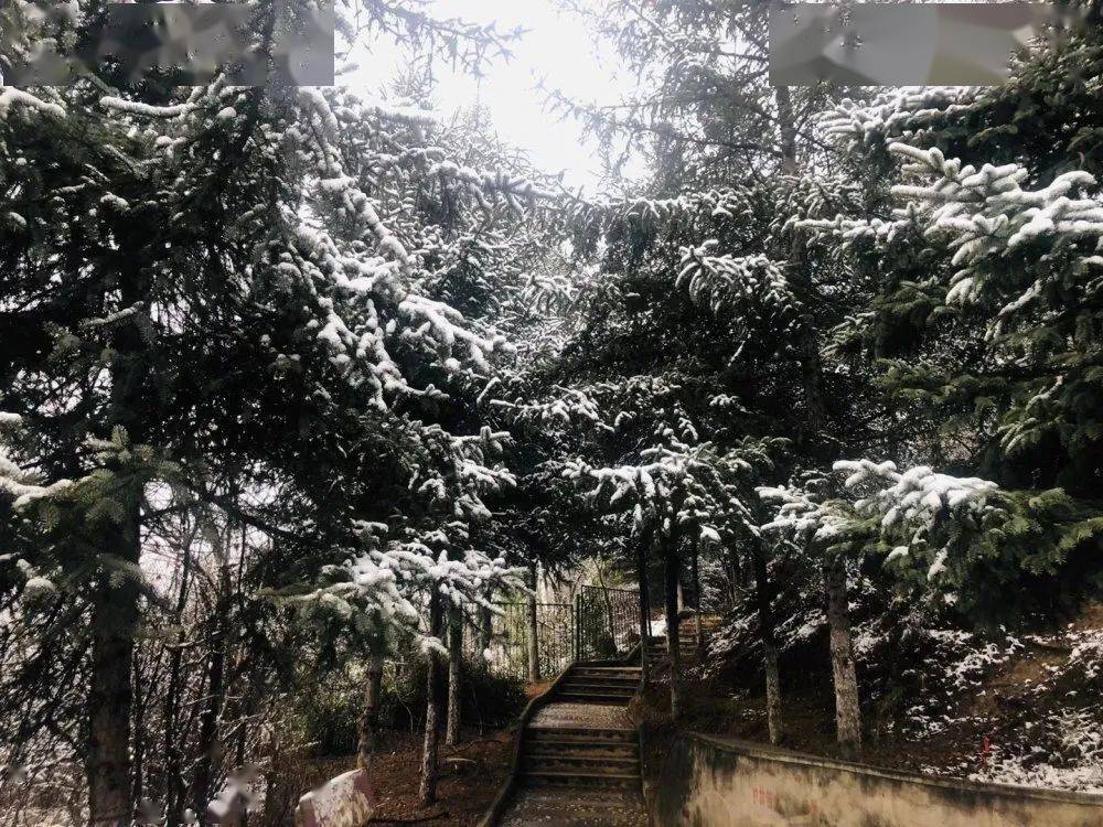 华亭雪中的华亭真的分外美