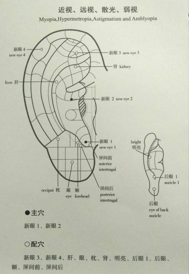 最全中医耳诊名师笔记总结(全部干货)