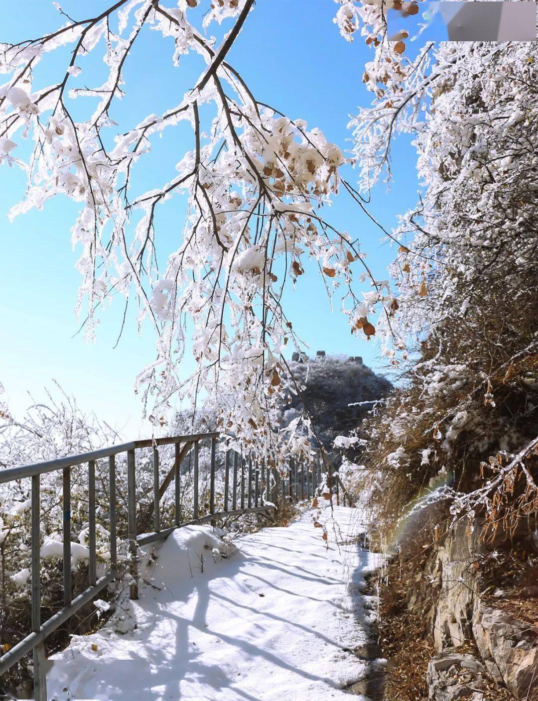 你不可错过的狼牙雪景