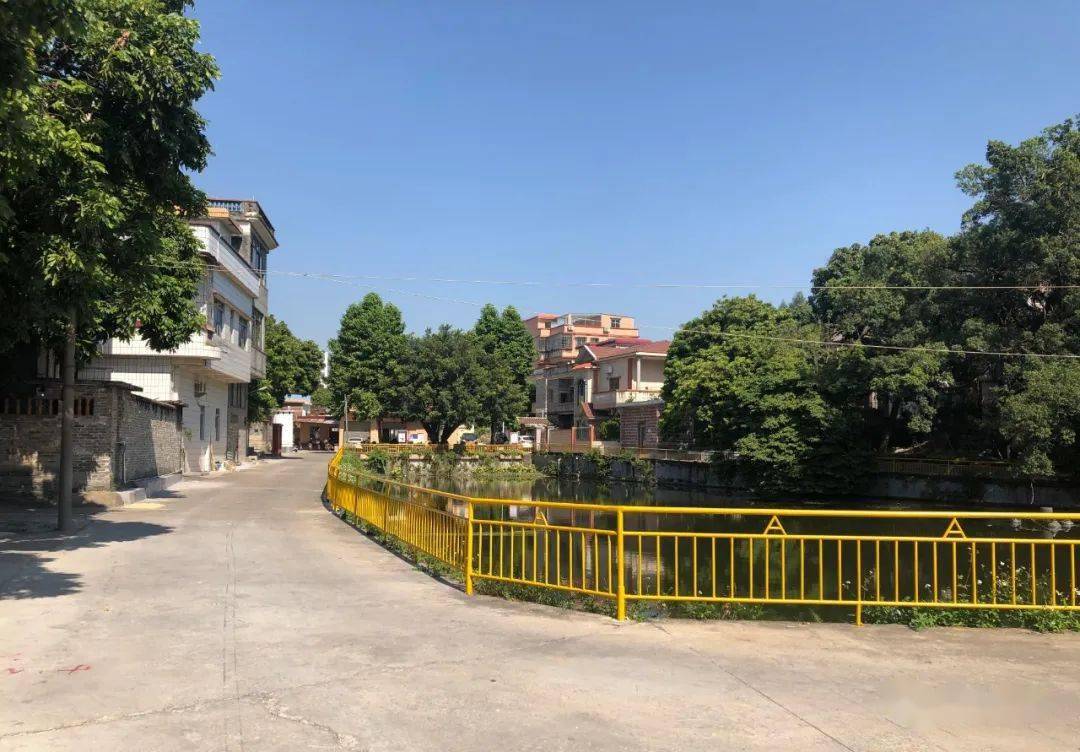 在竹蓢社区塘美村,整洁平坦的乡间道路,清新别致的菜园竹篱,各式农村