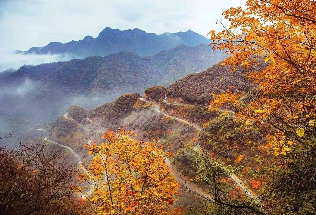 皖南秋色1289自驾皖南川藏线烟雨青山里的神秘天路赏醉美红杉林