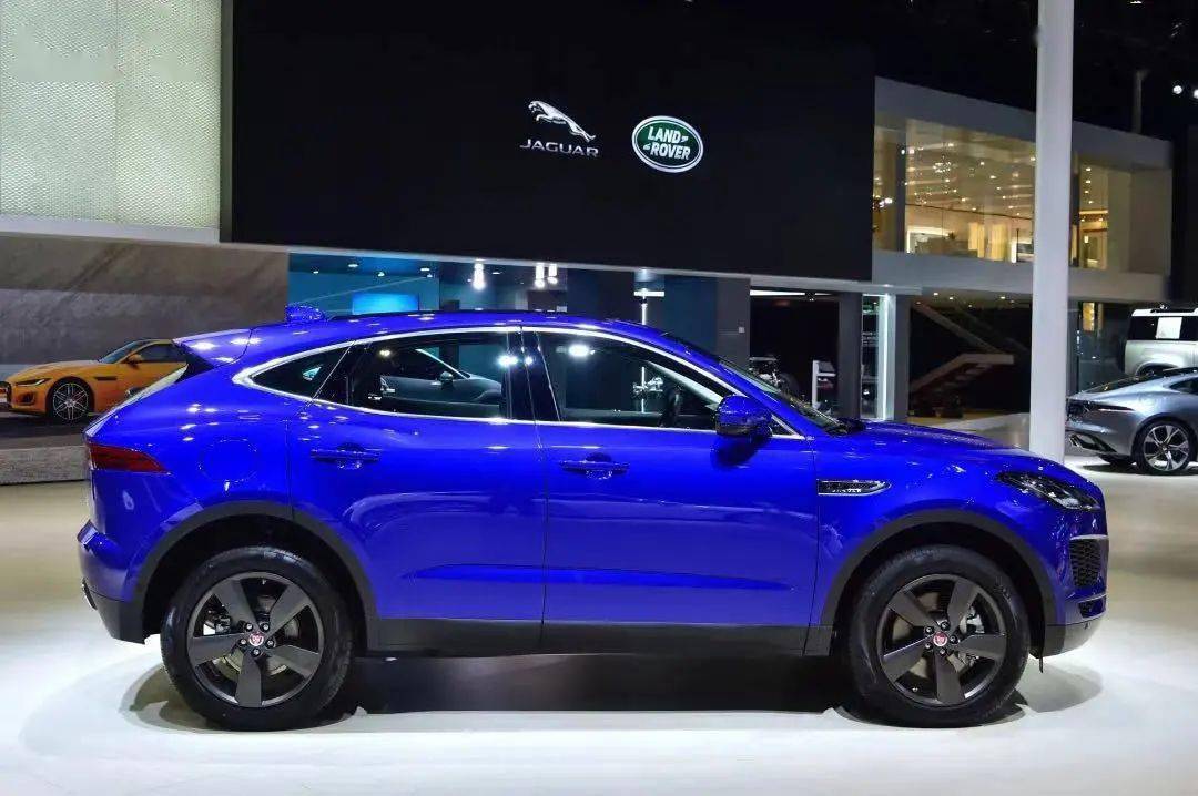 虎豹聚粤共襄盛事