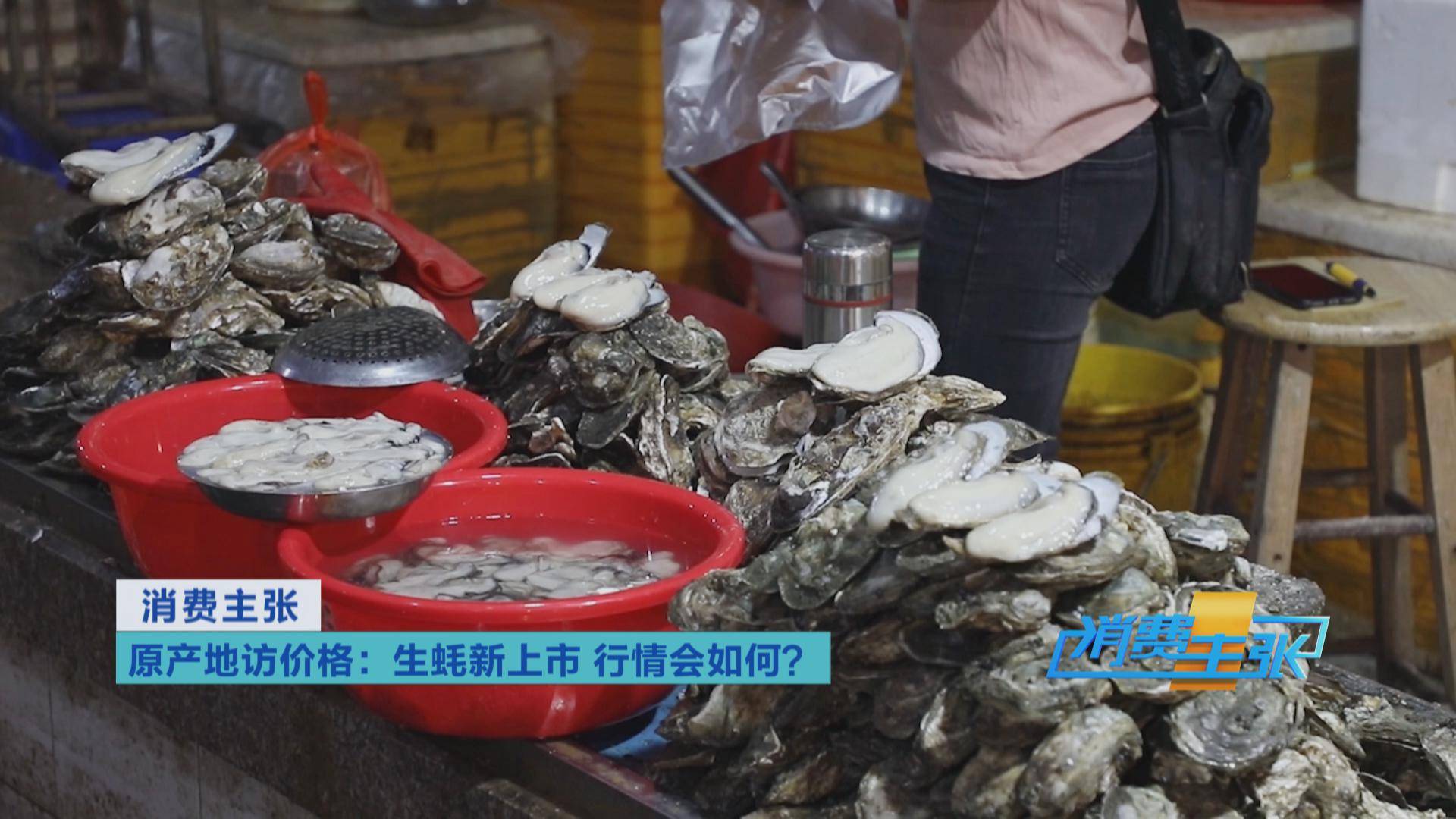 专业水产品市场之一的湛江霞山水产品批发市场,一只只肥美的湛江生蚝
