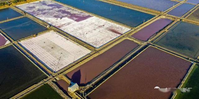 在高岛制盐有限公司的盐场里纵横排列着一个个整齐的色块因为浓度不同